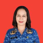 FRENSKA LESSY